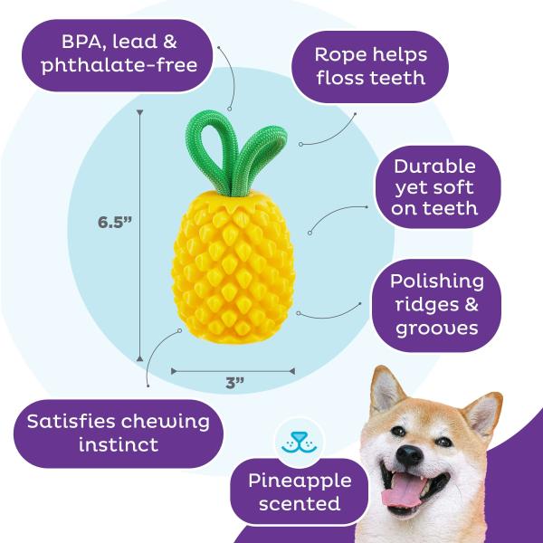 Outward Hound Dental Pineapple Outward Hound Dental Pineapple